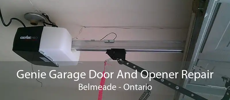 Genie Garage Door And Opener Repair Belmeade - Ontario