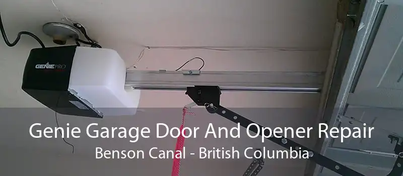 Genie Garage Door And Opener Repair Benson Canal - British Columbia