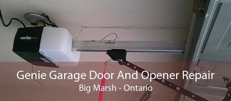 Genie Garage Door And Opener Repair Big Marsh - Ontario