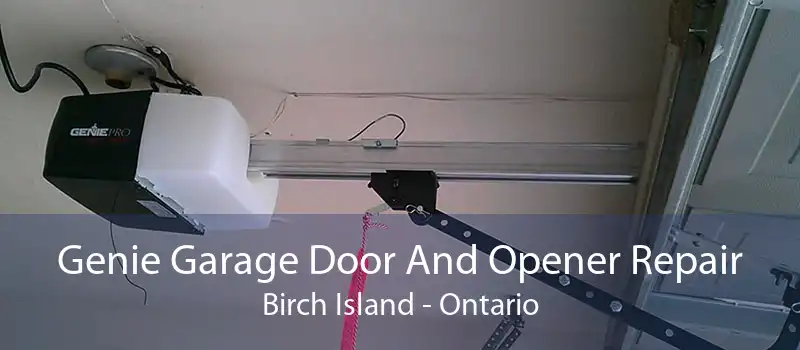 Genie Garage Door And Opener Repair Birch Island - Ontario
