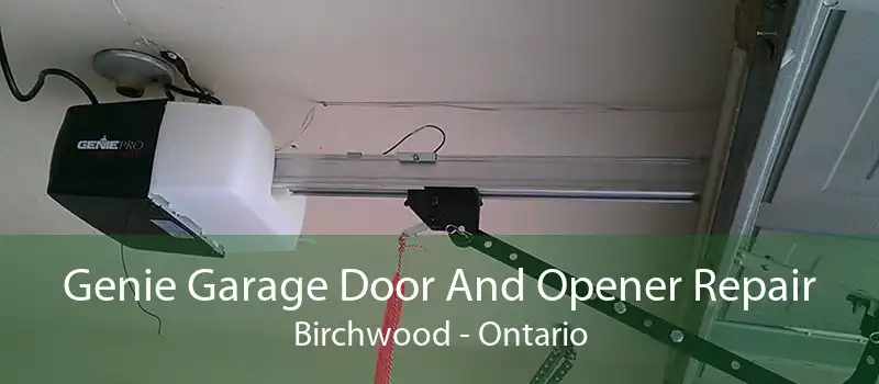 Genie Garage Door And Opener Repair Birchwood - Ontario