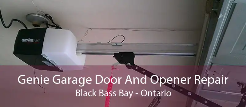 Genie Garage Door And Opener Repair Black Bass Bay - Ontario