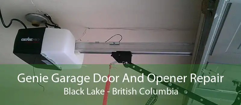 Genie Garage Door And Opener Repair Black Lake - British Columbia