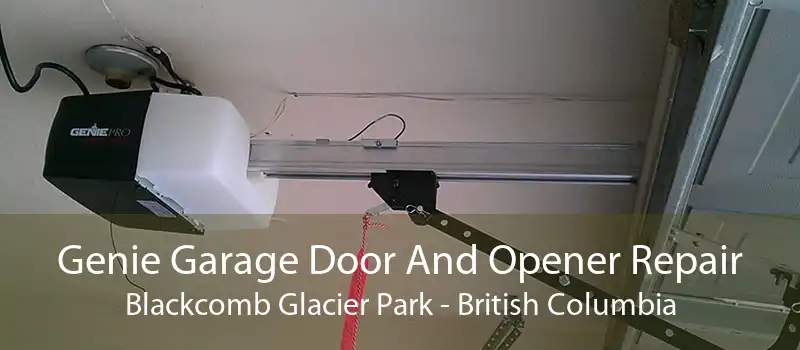 Genie Garage Door And Opener Repair Blackcomb Glacier Park - British Columbia
