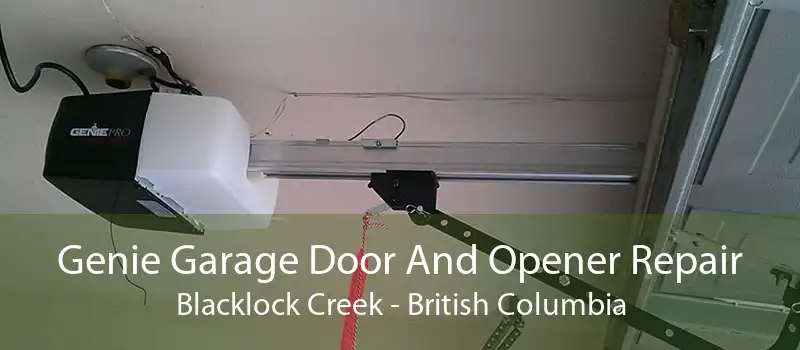 Genie Garage Door And Opener Repair Blacklock Creek - British Columbia