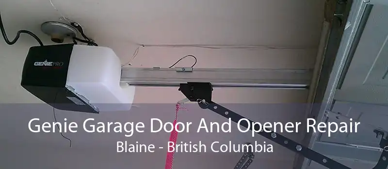 Genie Garage Door And Opener Repair Blaine - British Columbia