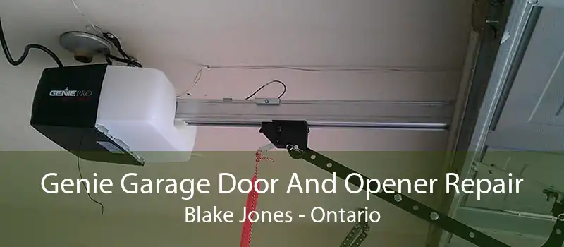 Genie Garage Door And Opener Repair Blake Jones - Ontario