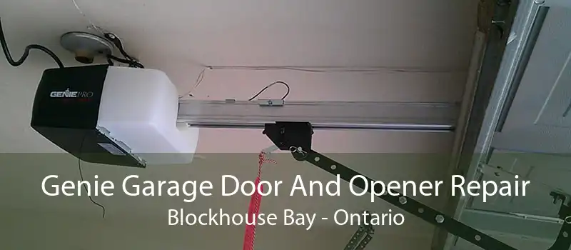 Genie Garage Door And Opener Repair Blockhouse Bay - Ontario