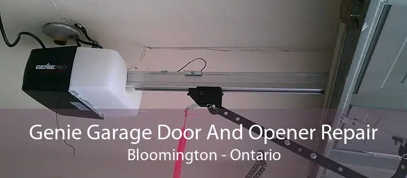 Genie Garage Door And Opener Repair Bloomington - Ontario