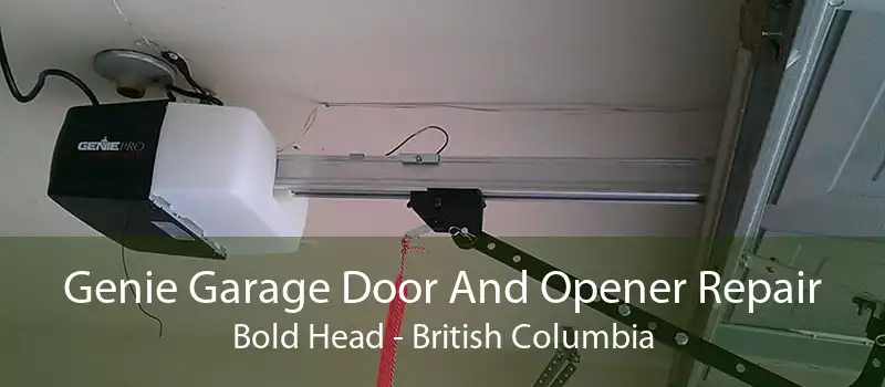 Genie Garage Door And Opener Repair Bold Head - British Columbia