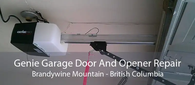 Genie Garage Door And Opener Repair Brandywine Mountain - British Columbia