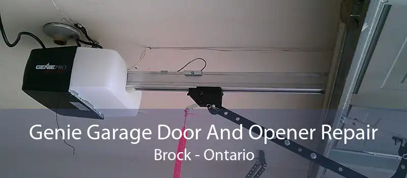 Genie Garage Door And Opener Repair Brock - Ontario