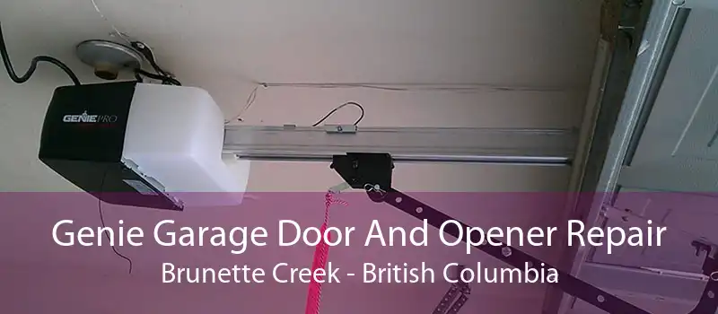 Genie Garage Door And Opener Repair Brunette Creek - British Columbia