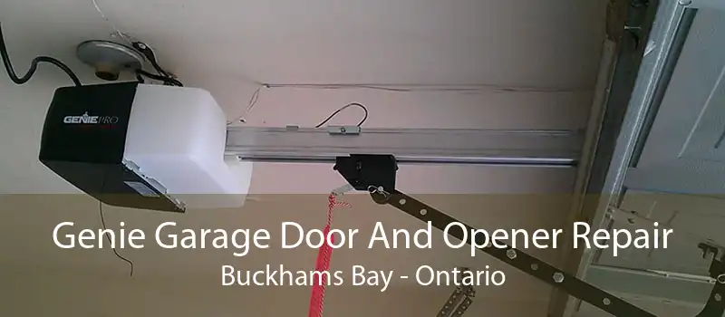 Genie Garage Door And Opener Repair Buckhams Bay - Ontario