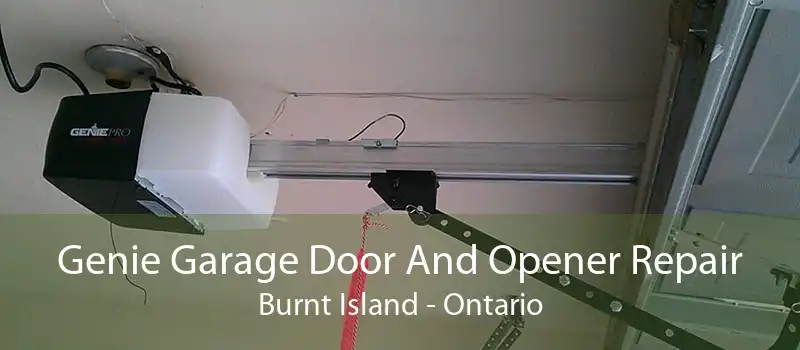 Genie Garage Door And Opener Repair Burnt Island - Ontario