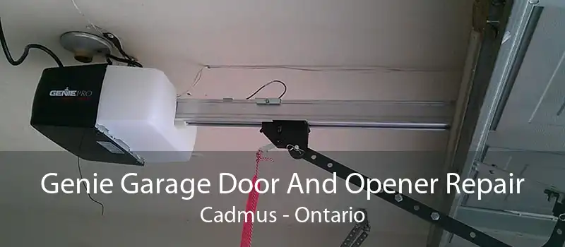 Genie Garage Door And Opener Repair Cadmus - Ontario