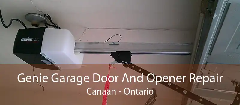 Genie Garage Door And Opener Repair Canaan - Ontario
