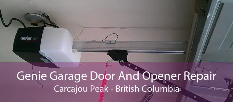 Genie Garage Door And Opener Repair Carcajou Peak - British Columbia