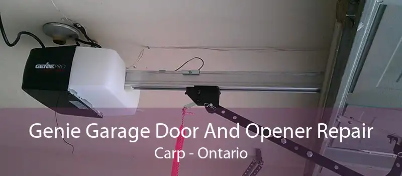 Genie Garage Door And Opener Repair Carp - Ontario