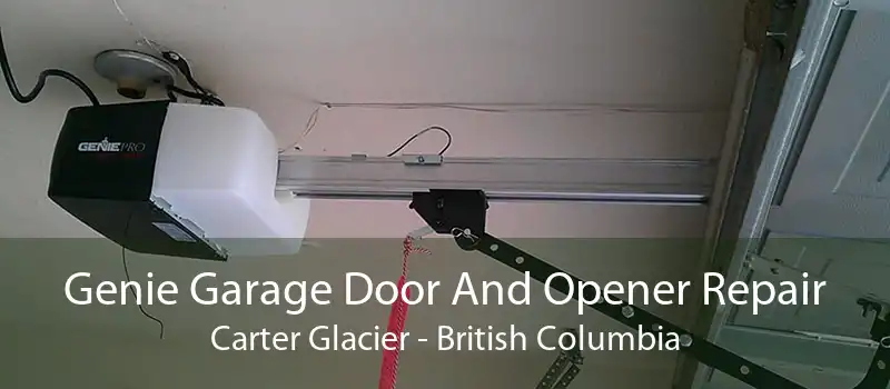 Genie Garage Door And Opener Repair Carter Glacier - British Columbia