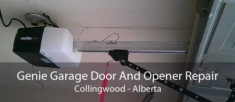 Genie Garage Door And Opener Repair Collingwood - Alberta