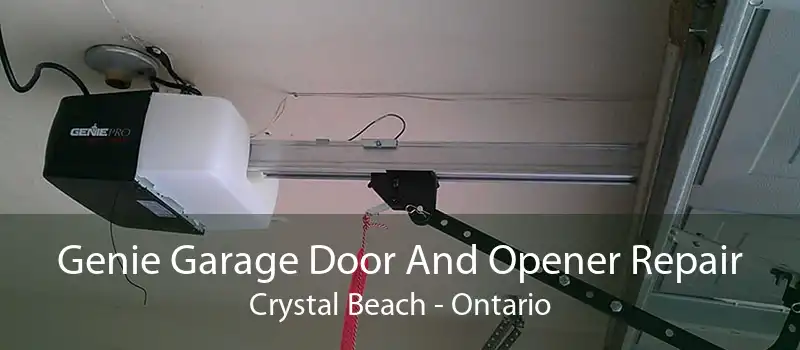 Genie Garage Door And Opener Repair Crystal Beach - Ontario