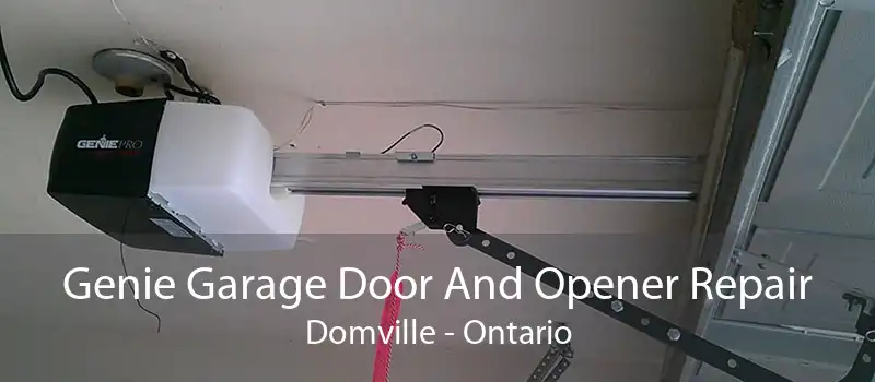 Genie Garage Door And Opener Repair Domville - Ontario