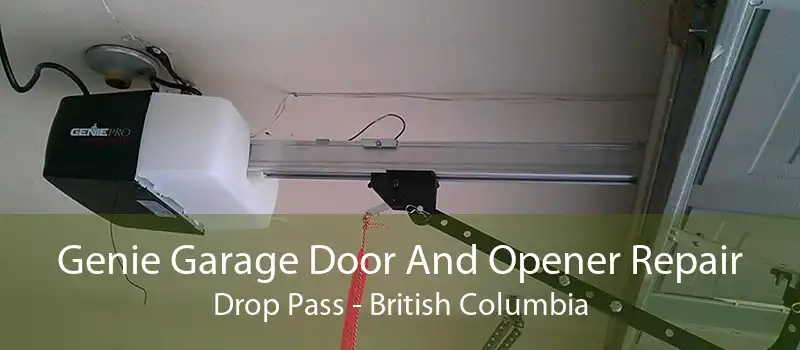 Genie Garage Door And Opener Repair Drop Pass - British Columbia
