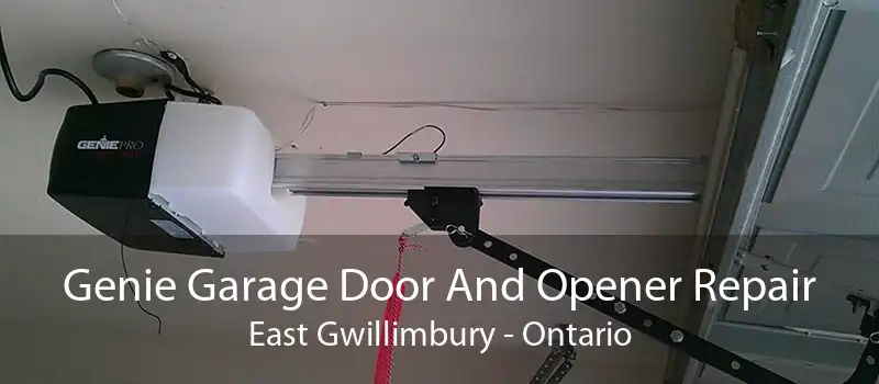 Genie Garage Door And Opener Repair East Gwillimbury - Ontario