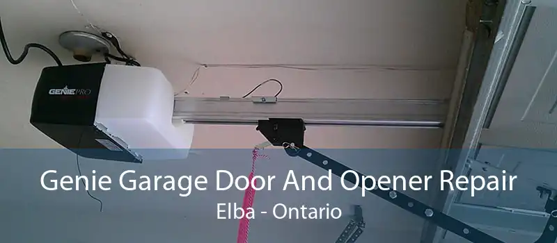 Genie Garage Door And Opener Repair Elba - Ontario