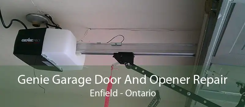 Genie Garage Door And Opener Repair Enfield - Ontario