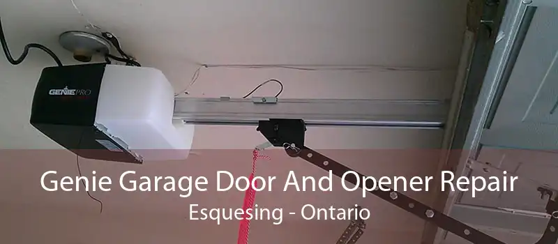Genie Garage Door And Opener Repair Esquesing - Ontario