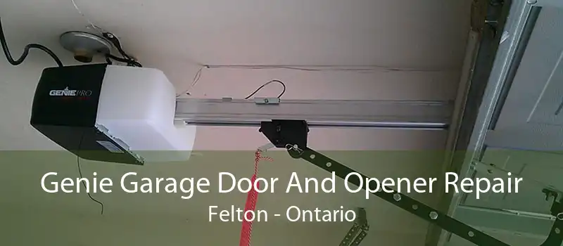 Genie Garage Door And Opener Repair Felton - Ontario
