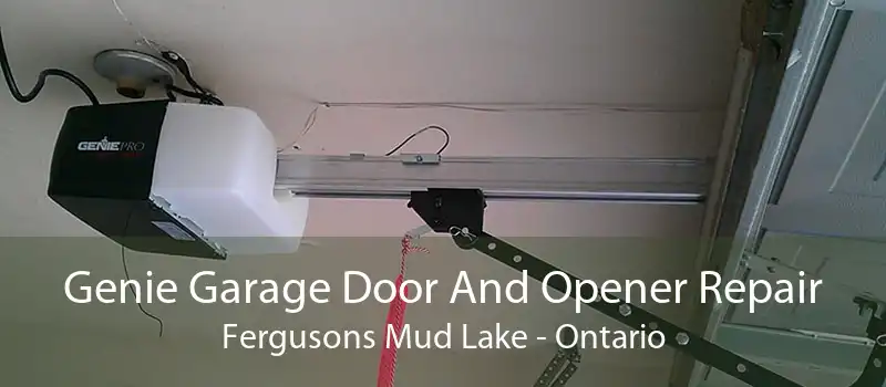 Genie Garage Door And Opener Repair Fergusons Mud Lake - Ontario