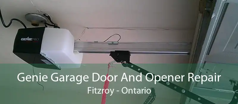 Genie Garage Door And Opener Repair Fitzroy - Ontario