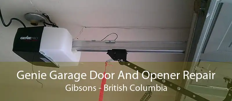 Genie Garage Door And Opener Repair Gibsons - British Columbia