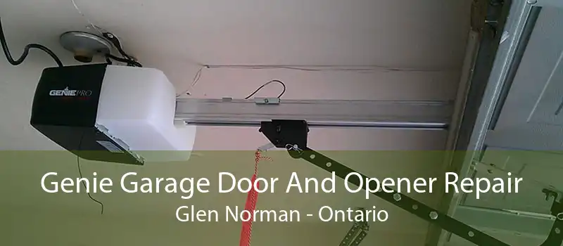 Genie Garage Door And Opener Repair Glen Norman - Ontario