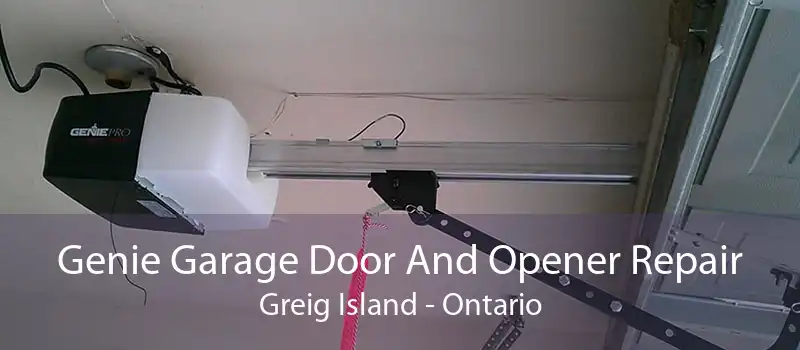 Genie Garage Door And Opener Repair Greig Island - Ontario