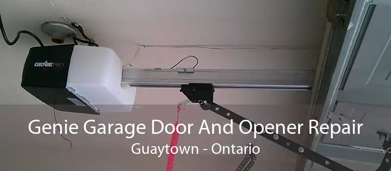 Genie Garage Door And Opener Repair Guaytown - Ontario