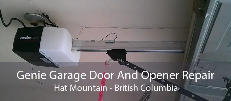 Genie Garage Door And Opener Repair Hat Mountain - British Columbia