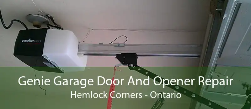 Genie Garage Door And Opener Repair Hemlock Corners - Ontario