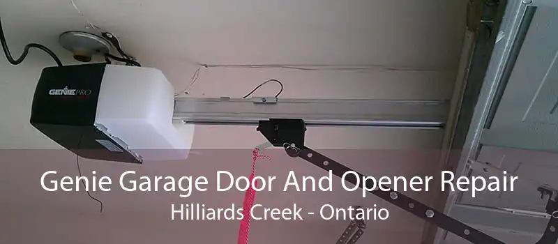Genie Garage Door And Opener Repair Hilliards Creek - Ontario