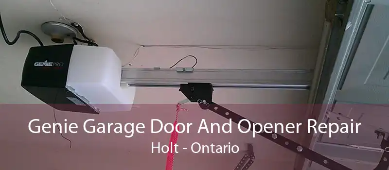 Genie Garage Door And Opener Repair Holt - Ontario