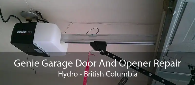 Genie Garage Door And Opener Repair Hydro - British Columbia