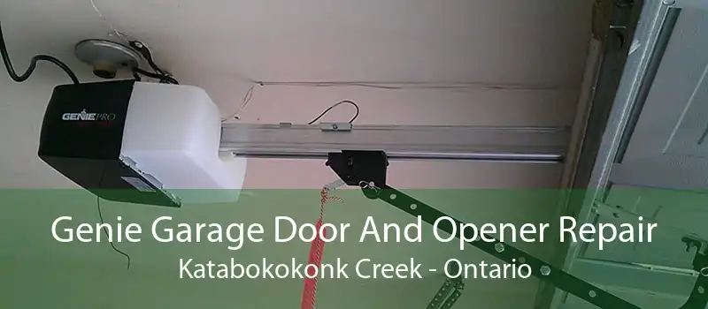 Genie Garage Door And Opener Repair Katabokokonk Creek - Ontario