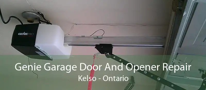 Genie Garage Door And Opener Repair Kelso - Ontario