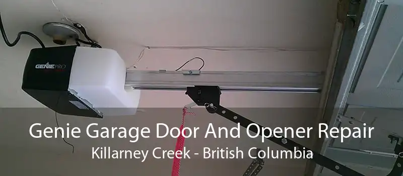 Genie Garage Door And Opener Repair Killarney Creek - British Columbia