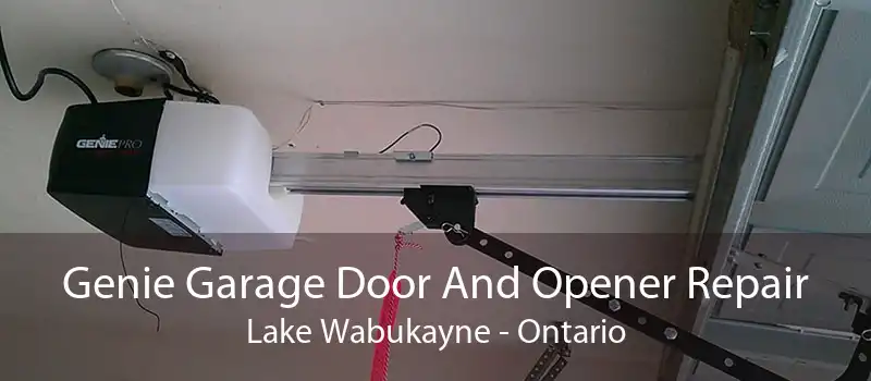 Genie Garage Door And Opener Repair Lake Wabukayne - Ontario