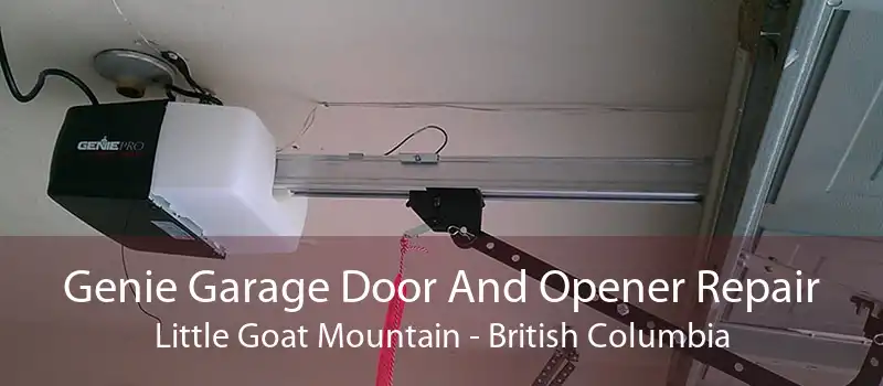Genie Garage Door And Opener Repair Little Goat Mountain - British Columbia