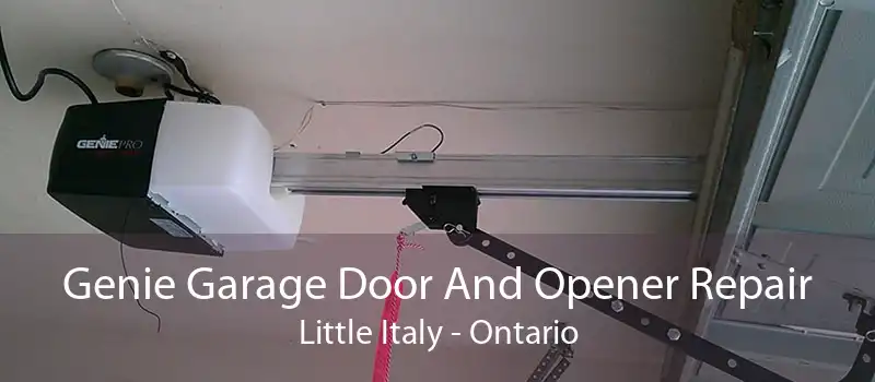 Genie Garage Door And Opener Repair Little Italy - Ontario